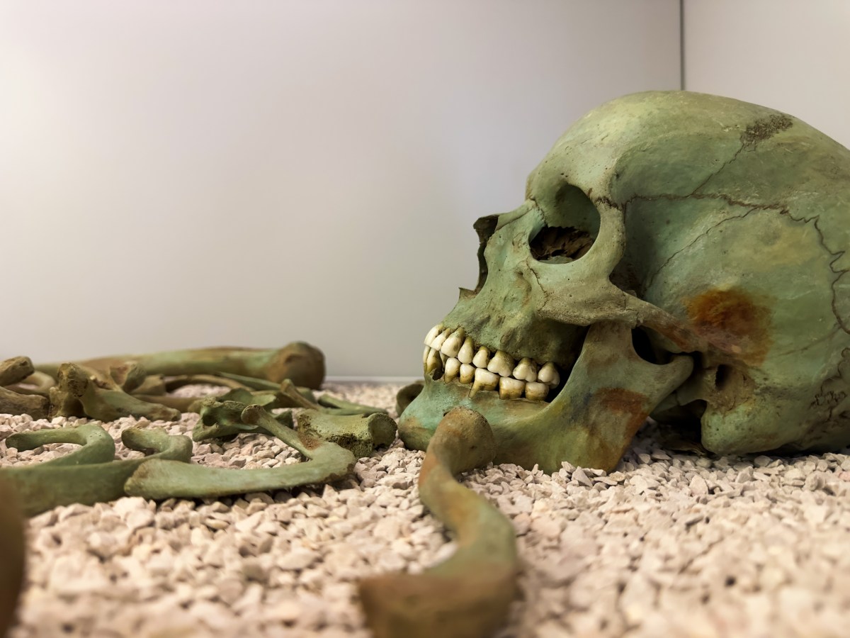 Museo Arqueológico de&nbsp;Asturias