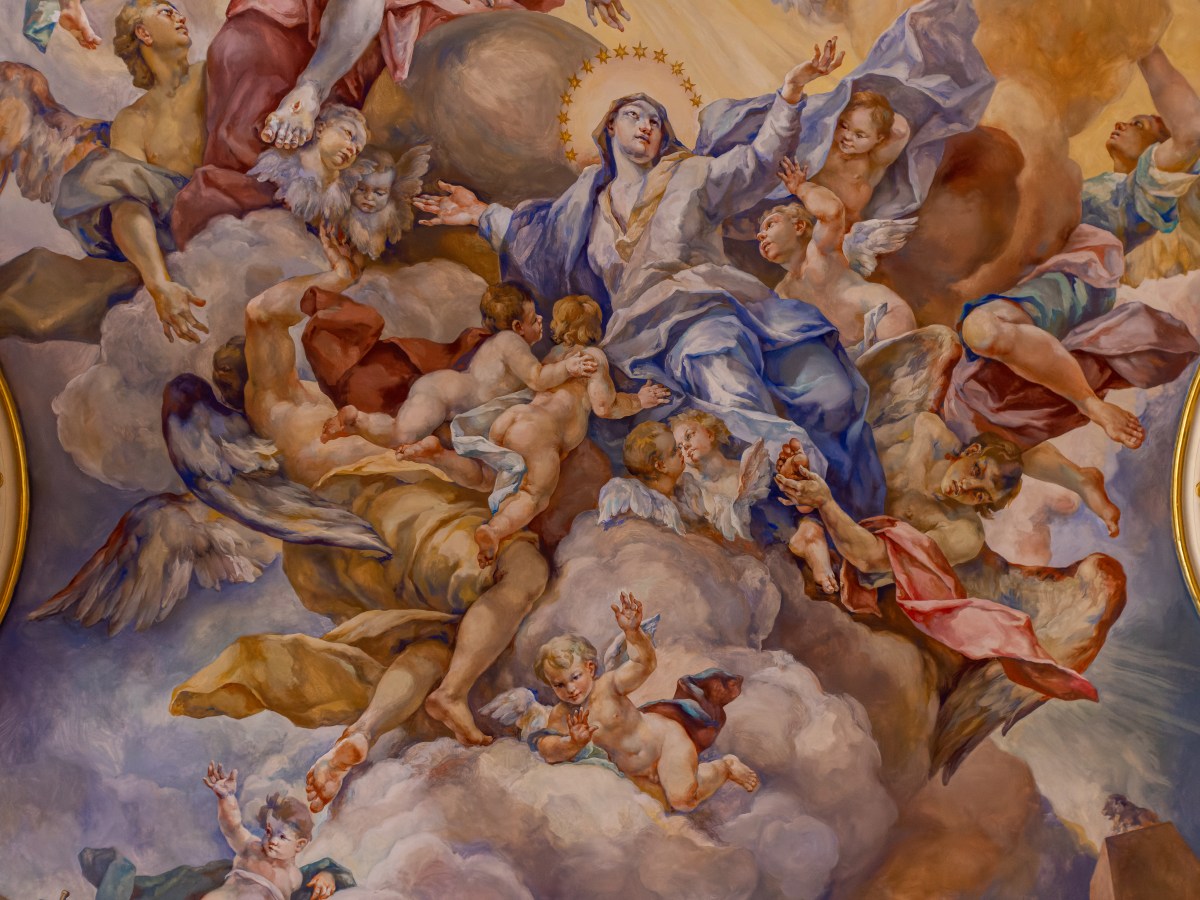 University of Wrocław&nbsp;Museum