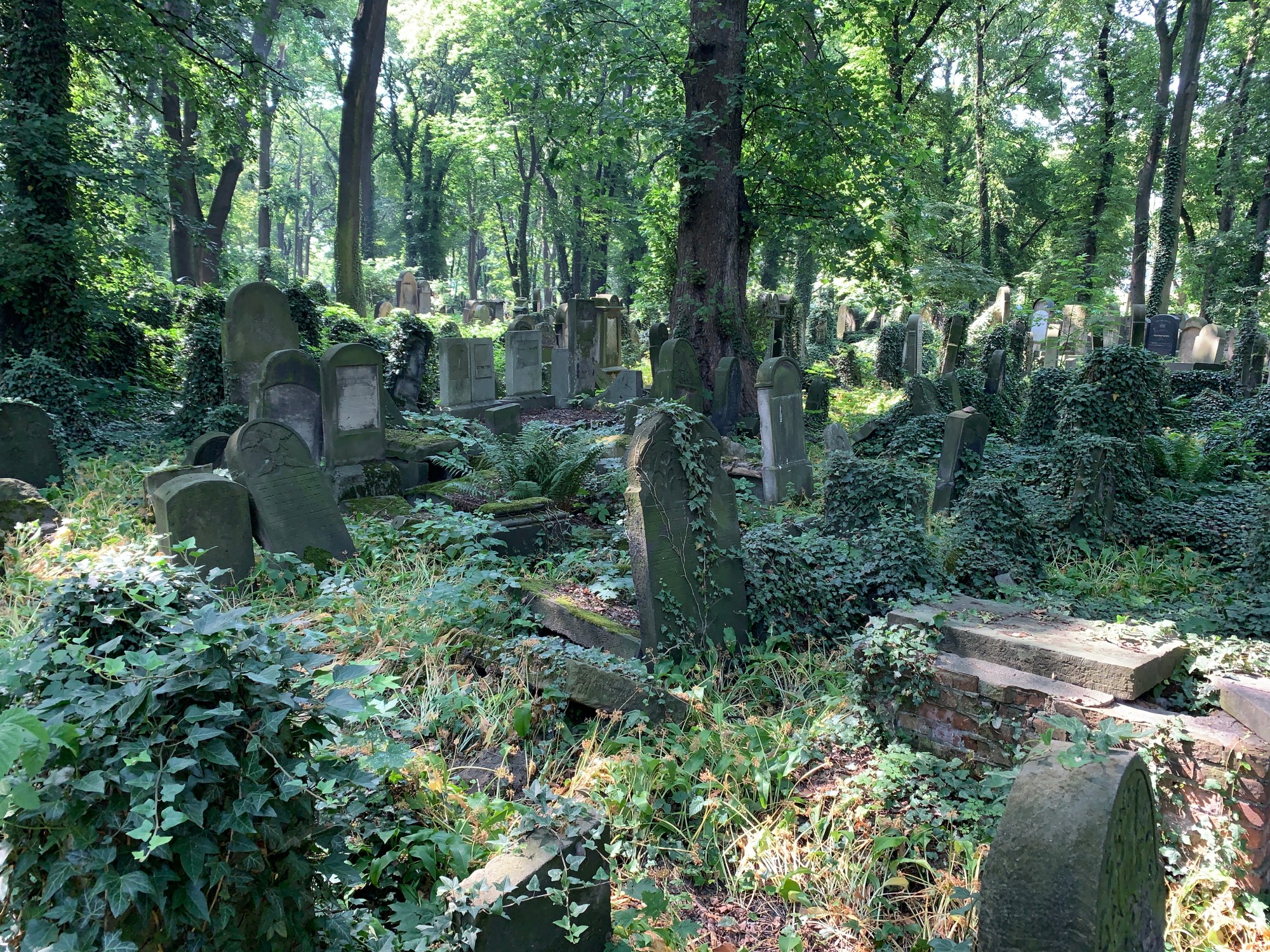 Gravestones at the New Jewish Cemetery in Kraków